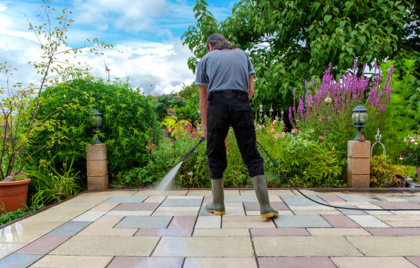 Best Driveway Cleaning and Restoration in St George, MO